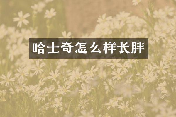 哈士奇怎么样长胖