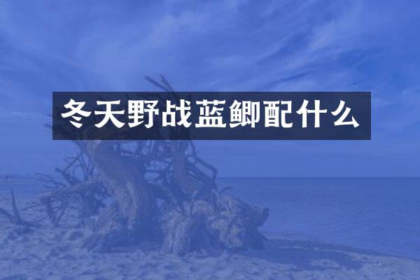 冬天野战蓝鲫配什么