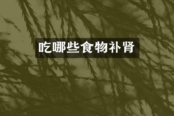 吃哪些食物补肾