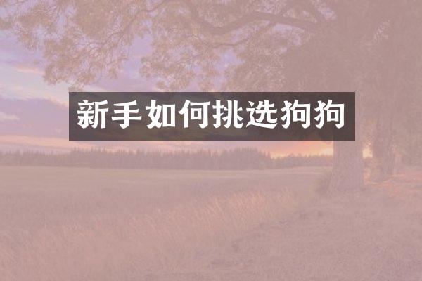 新手如何挑选狗狗