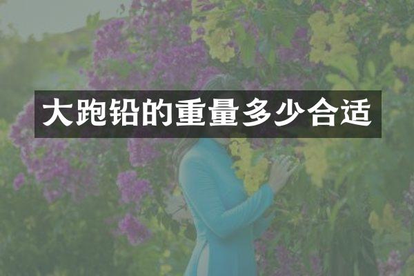 大跑铅的重量多少合适
