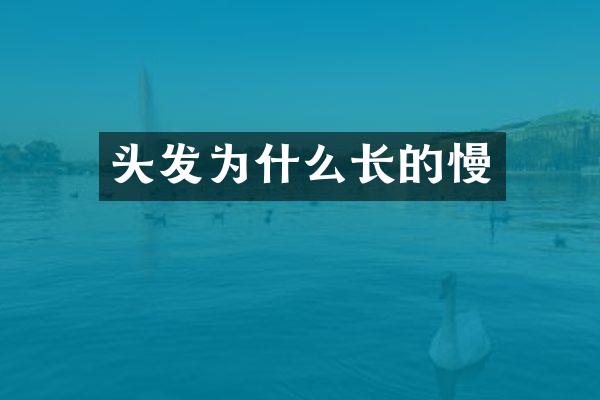 头发为什么长的慢