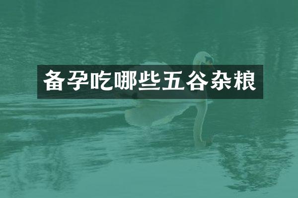 备孕吃哪些五谷杂粮