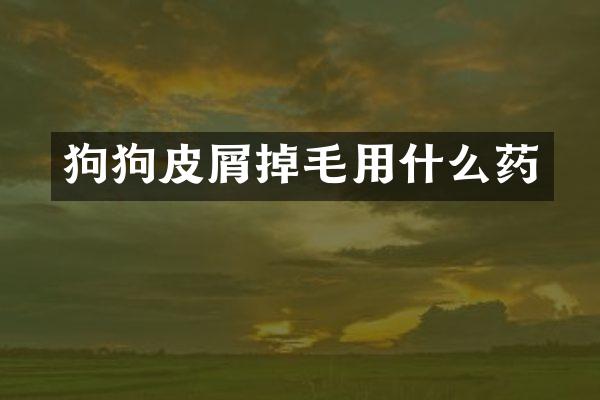 狗狗皮屑掉毛用什么药