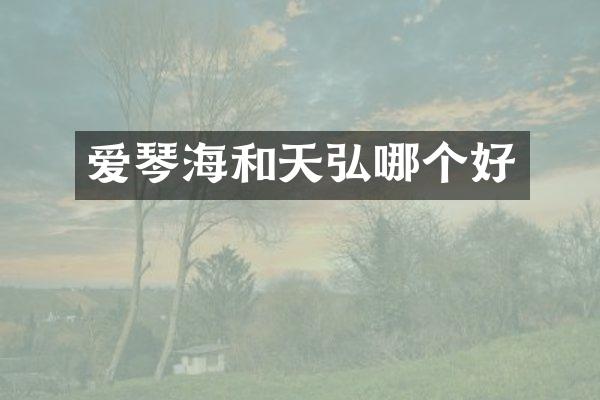 爱琴海和天弘哪个好