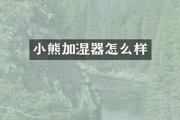 小熊加湿器怎么样