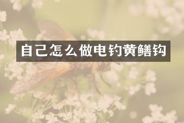 自己怎么做电钓黄鳝钩