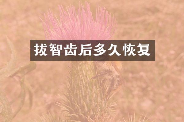 拔智齿后多久恢复