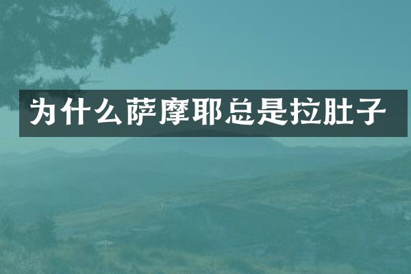 为什么萨摩耶总是拉肚子