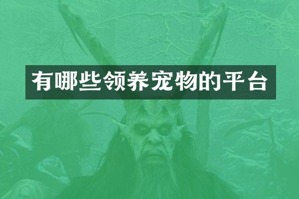 有哪些领养宠物的平台