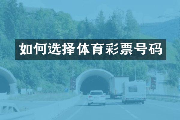 如何选择体育彩票号码