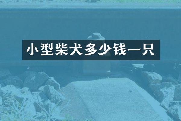 小型柴犬多少钱一只