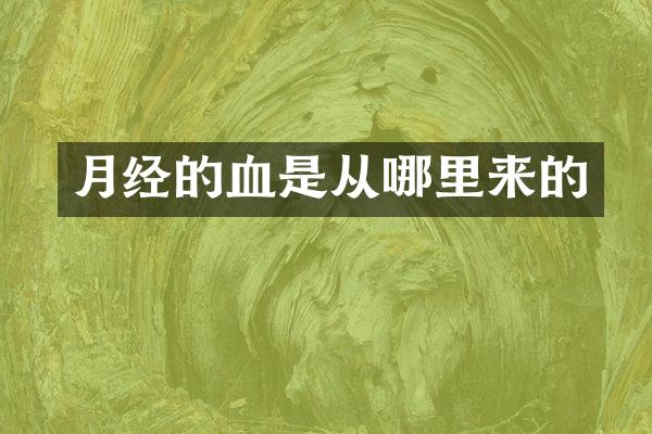 月经的血是从哪里来的
