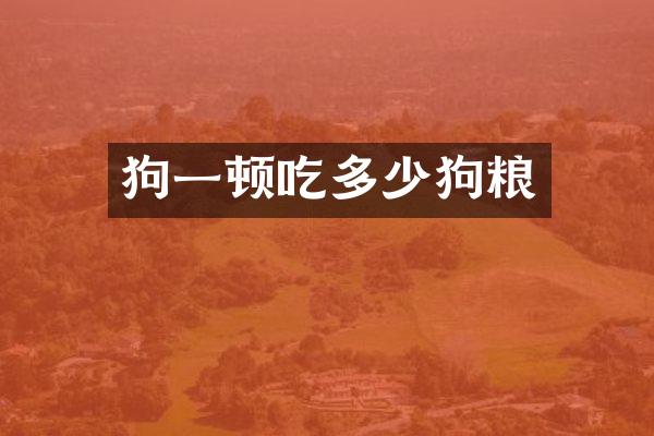 狗一顿吃多少狗粮