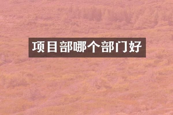 项目部哪个部门好