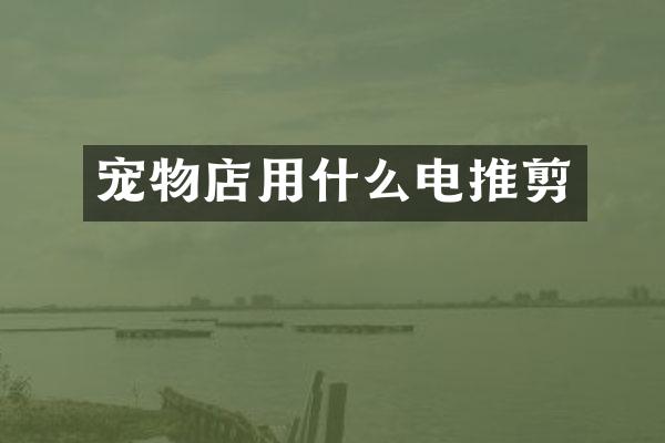 宠物店用什么电推剪