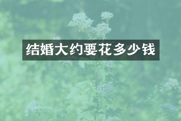 结婚大约要花多少钱