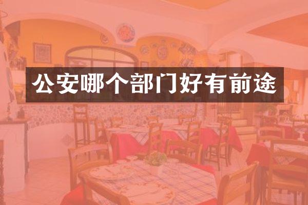 公安哪个部门好有前途