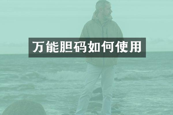 万能胆码如何使用
