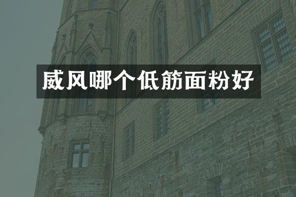 威风哪个低筋面粉好