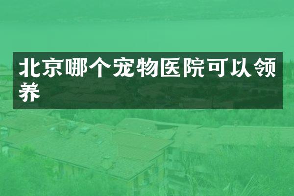 北京哪个宠物医院可以领养