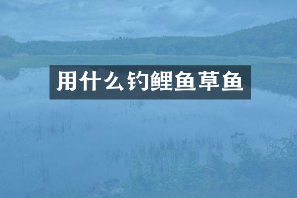 用什么钓鲤鱼草鱼