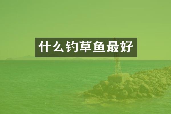 什么钓草鱼最好