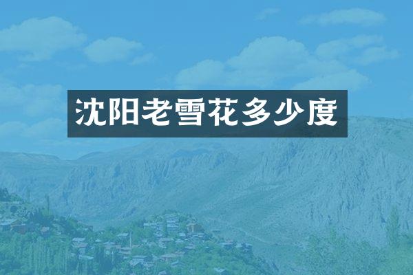 沈阳老雪花多少度