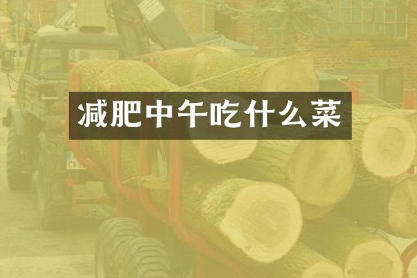 减肥中午吃什么菜