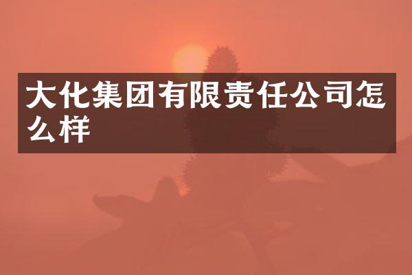 大化集团有限责任公司怎么样