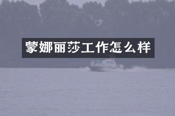 蒙娜丽莎工作怎么样