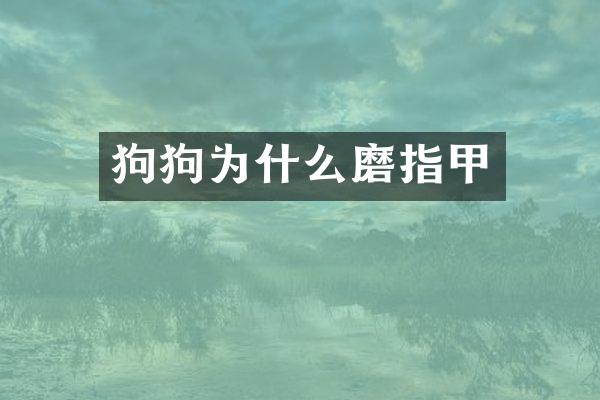 狗狗为什么磨指甲