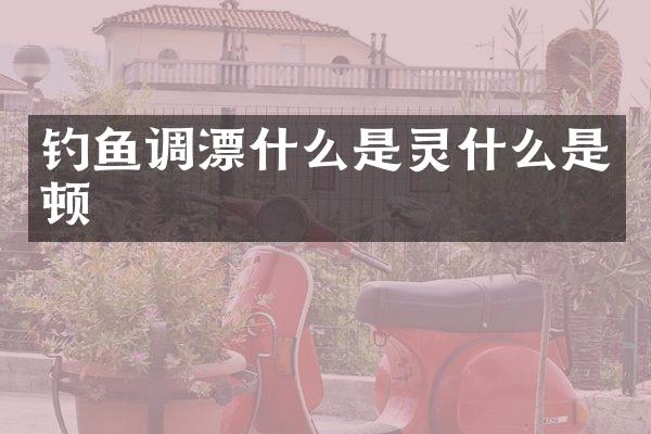 钓鱼调漂什么是灵什么是顿