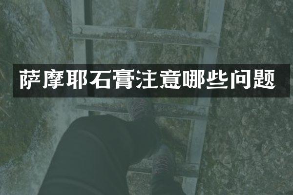 萨摩耶石膏注意哪些问题