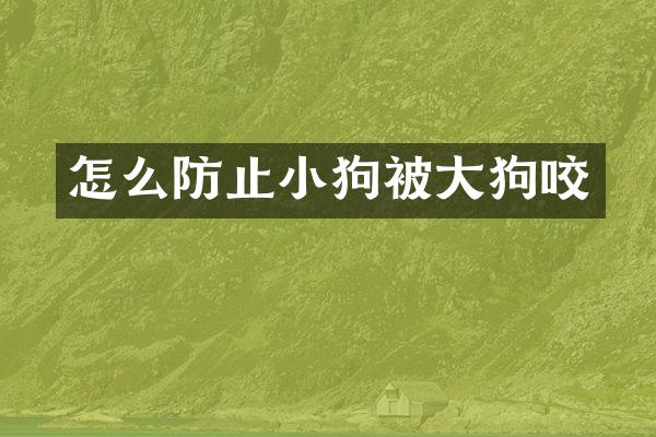 怎么防止小狗被大狗咬