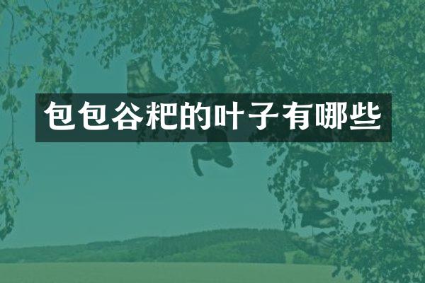 包包谷粑的叶子有哪些