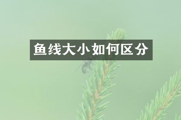 鱼线大小如何区分