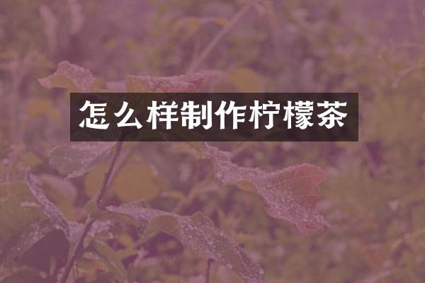 怎么样制作柠檬茶