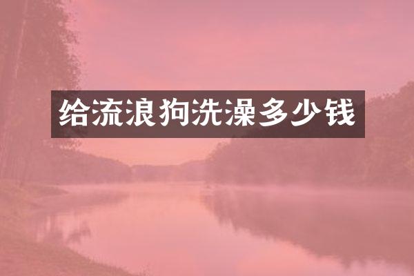 给流浪狗洗澡多少钱