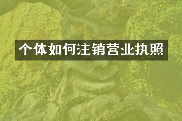 个体如何注销营业执照