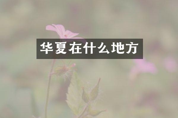 华夏在什么地方