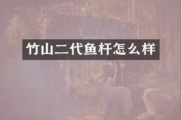 竹山二代鱼杆怎么样