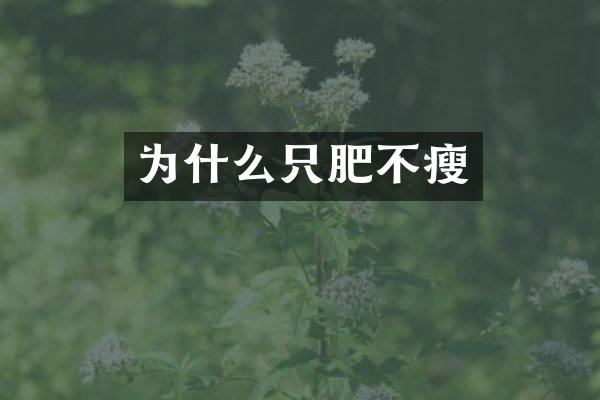 为什么只肥不瘦