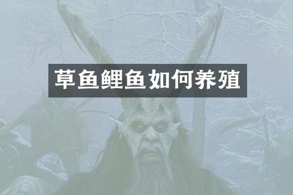 草鱼鲤鱼如何养殖