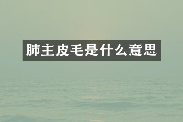 肺主皮毛是什么意思