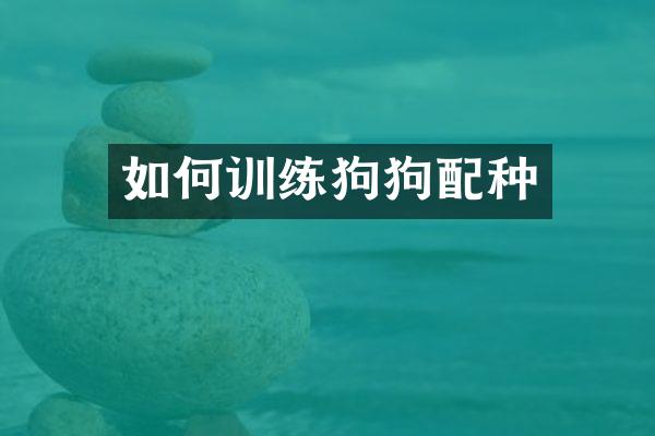 如何训练狗狗配种
