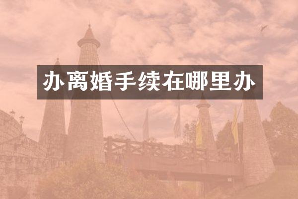 办离婚手续在哪里办