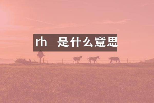 rh  是什么意思