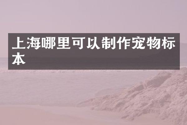 上海哪里可以制作宠物标本