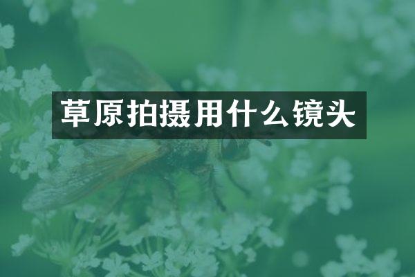 草原拍摄用什么镜头